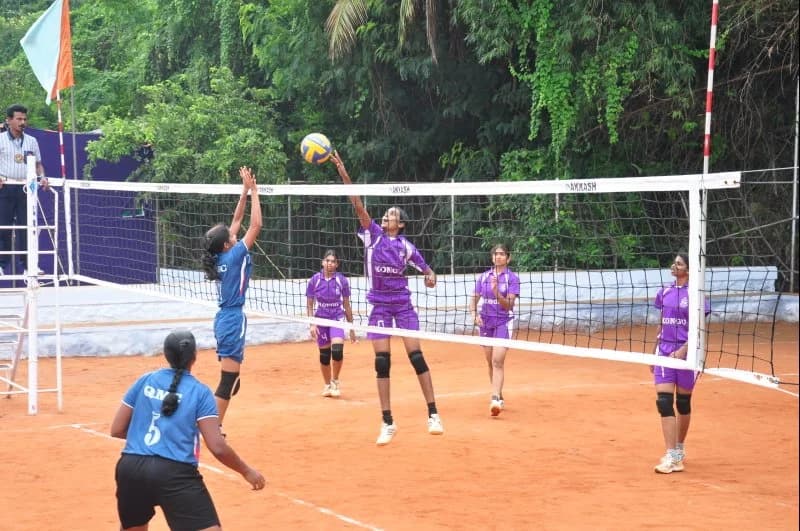 Volleyball